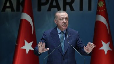 Photo of Erdogan: Talks with Sweden, Finland on NATO bids not ‘at desired level’
