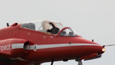 Photo of Red Arrows display cut short after bird strike