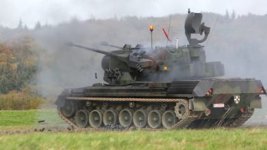 Photo of Germany will deliver to Ukraine 6 additional Gepard self-propelled anti-aicraft vehicles