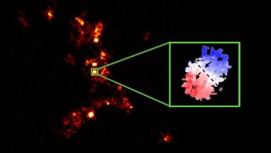 Photo of Astronomers discover a swarm of galaxies orbiting a hyper-luminous galaxy