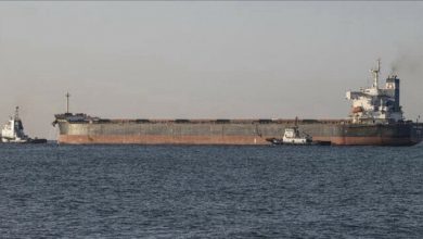 Photo of Nine more grain ships leave Ukraine under Istanbul deal