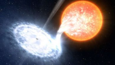 Photo of Astronomers find a sun-like star orbiting a nearby black hole