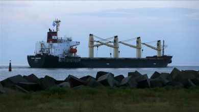 Photo of Five more grain ships leave Ukraine under Istanbul deal: Türkiye
