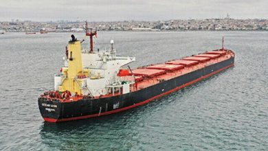 Photo of Türkiye continues efforts for resumption of Black Sea grain exports