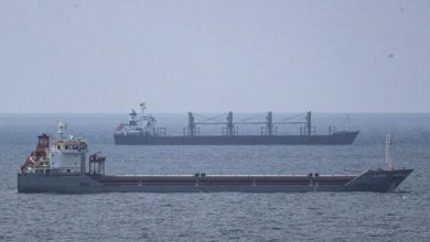Photo of Eight more grain ships leave Ukraine under Istanbul deal