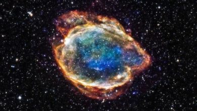 Photo of The most precise accounting yet of dark energy and dark matter