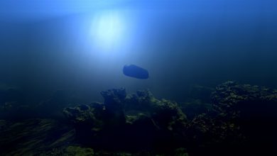 Photo of BAE Systems unveils ‘Herne’ Extra-Large underwater drone