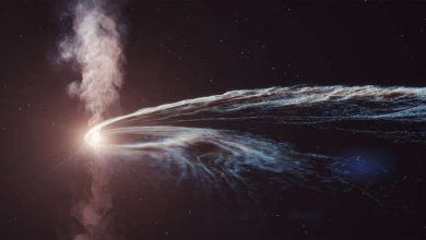 Photo of Black hole burps up shredded star