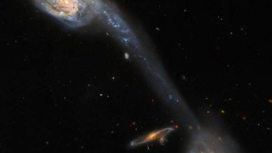 Photo of Hubble inspects two galaxies connected by a luminous bridge