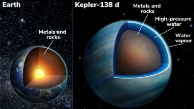 Photo of Astronomers find that two exoplanets may be mostly water
