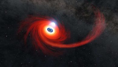 Photo of NASA gets unusually close glimpse of black hole snacking on star