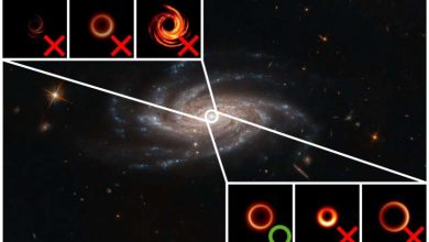 Photo of Machine learning reveals how black holes grow