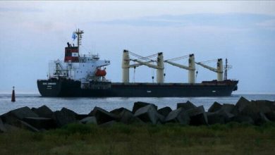 Photo of Türkiye: Over 15M tons of grain exported from Ukraine