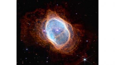 Photo of Webb telescope spies hidden stars in stellar graveyard
