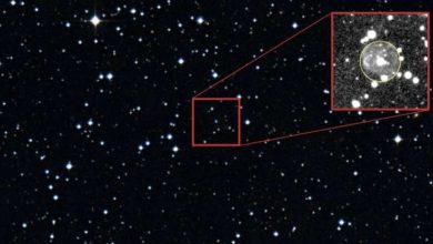 Photo of Astronomers discover eight new super-hot stars