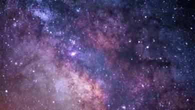 Photo of New study reveals wide diversity of galaxies in the early universe
