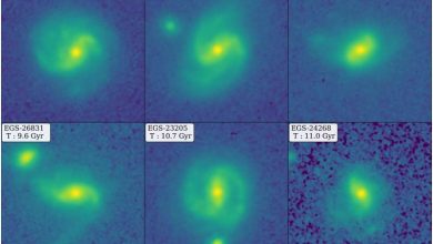 Photo of James Webb telescope reveals Milky Way–like galaxies in young universe