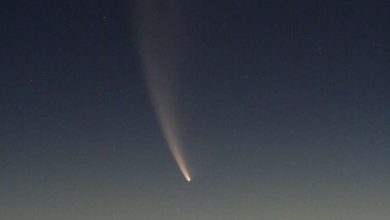 Photo of Newly discovered green comet expected to whiz by Earth