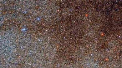 Photo of Billions of celestial objects revealed in gargantuan survey of the Milky Way