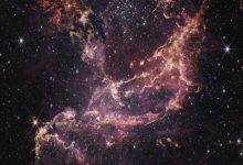 Photo of Webb uncovers star formation in cluster’s dusty ribbons