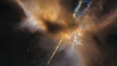 Photo of Astronomers spot an orphaned protostar