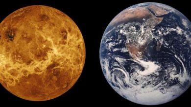 Photo of Venus may have Earth-like lithospheric thickness and heat flow
