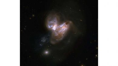 Photo of New discovery sheds light on very early supermassive black holes