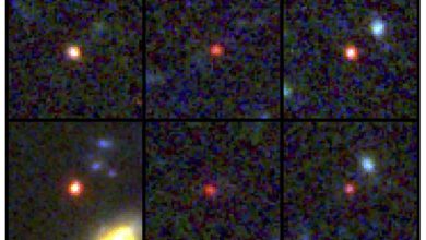 Photo of Discovery of massive early galaxies defies prior understanding of the universe
