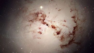 Photo of Scientists find first evidence that black holes are the source of dark energy