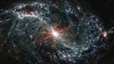 Photo of A star is born: Images of nearby galaxies provide clues about star formation
