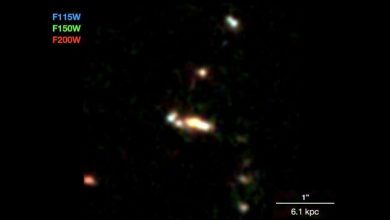 Photo of Webb telescope catches early galaxy formation in action