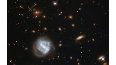 Photo of Artificial intelligence discovers secret equation for ‘weighing’ galaxy clusters