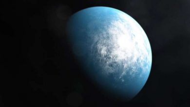 Photo of Distant star TOI-700 has two potentially habitable planets orbiting it