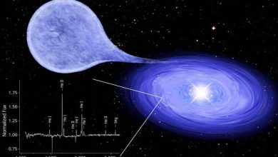 Photo of Astronomers discover helium-burning white dwarf