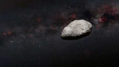 Photo of Large asteroid to zoom between Earth and Moon