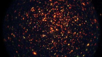 Photo of New magnetic cataclysmic variable detected