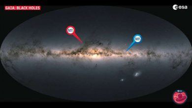 Photo of Gaia discovers a new family of black holes