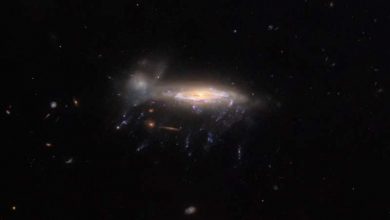 Photo of Hubble captures ‘jellyfish galaxy’ JO204