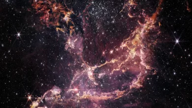Photo of New Webb telescope image reveals secrets of star structure and building blocks of life