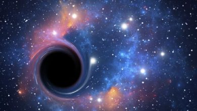 Photo of Primordial black holes may have ‘frozen’ the early universe