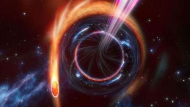 Photo of Physicists discover that gravity can create light