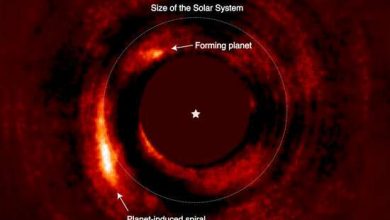 Photo of Researchers confirm a new forming planet