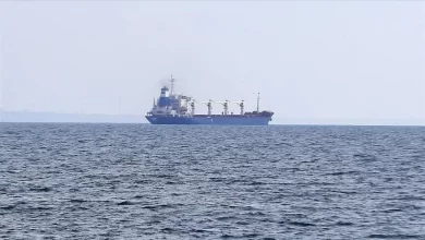 Photo of Turkish president: Black Sea grain deal extended for another 2 months