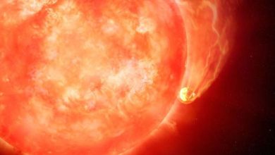 Photo of Astronomers witness star devouring a planet: Possible preview of the ultimate fate of Earth