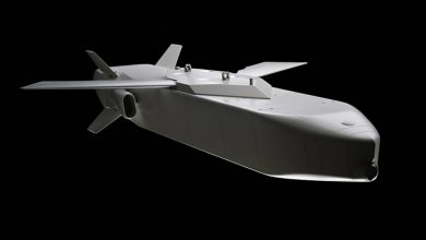 Photo of Bundestag deputy proposed to transfer cruise missiles to Ukraine
