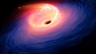 Photo of Astronomers puzzled by ‘largest’ ever cosmic explosion