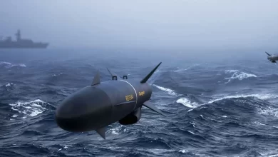 Photo of British Navy to defend Stockholm archipelago