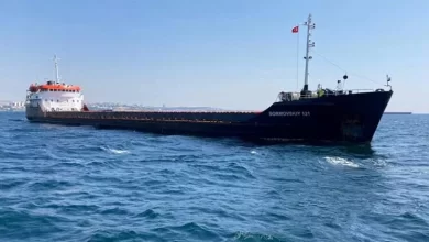 Photo of 30.3 million tons of grain shipped via Black Sea corridor
