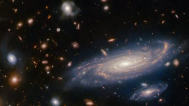 Photo of James Webb Space Telescope discovers 717 ancient galaxies that flooded the universe with 1st light
