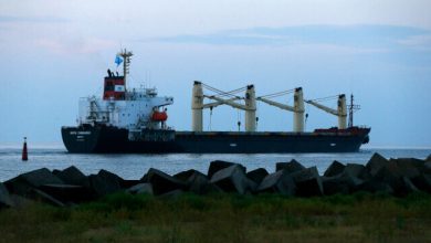 Photo of Black Sea grain corridor transported over 30.5M tons of grain